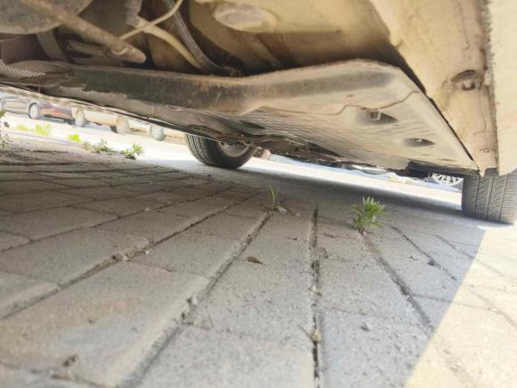 [济南·鲁A] 二手大众途安2008款 2.0L 智享版手动5座