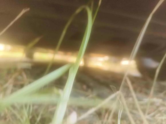 [上海·沪C] 二手大众帕萨特2023款 330TSI 星空尊贵版