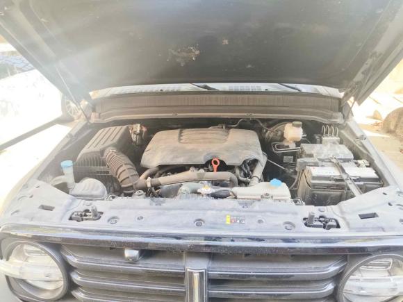 [武汉·鄂A] 二手坦克坦克3002021款 越野版 2.0T 挑战者