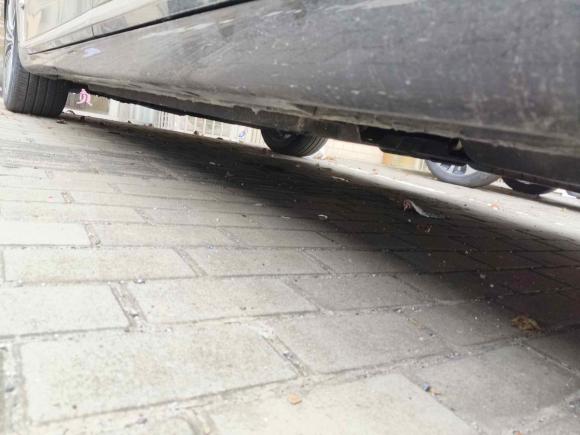 [常州·苏D] 二手红旗红旗H92020款 2.0T 智联旗畅版