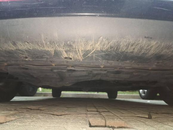 [广州·粤W] 二手日产骐达TIIDA2008款 1.6L 自动智能型