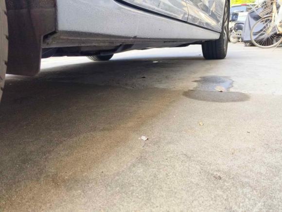 [上海·沪B] 二手大众朗逸2023款 1.5L 自动五百万版