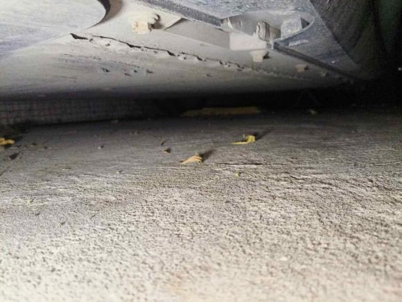 [深圳·粤B] 二手岚图汽车岚图追光2023款 四驱标准版