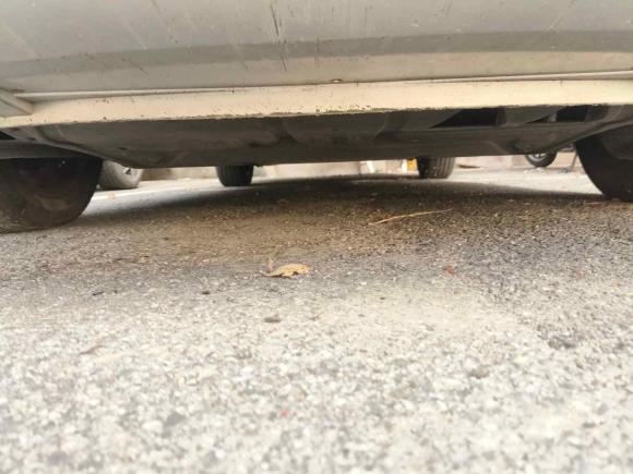 [上海·沪C] 二手斯柯达明锐2014款 1.6L 自动逸俊版