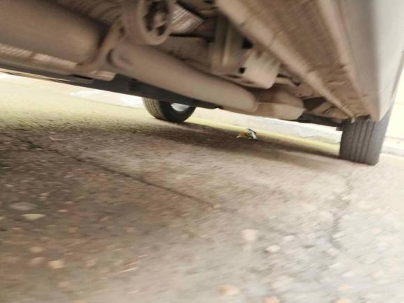 [金华·浙G] 二手领克领克06 EM-P2023款 1.5T Remix PHEV Pro