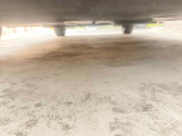 [上海·沪A] 二手比亚迪海豚2021款 405km 时尚版