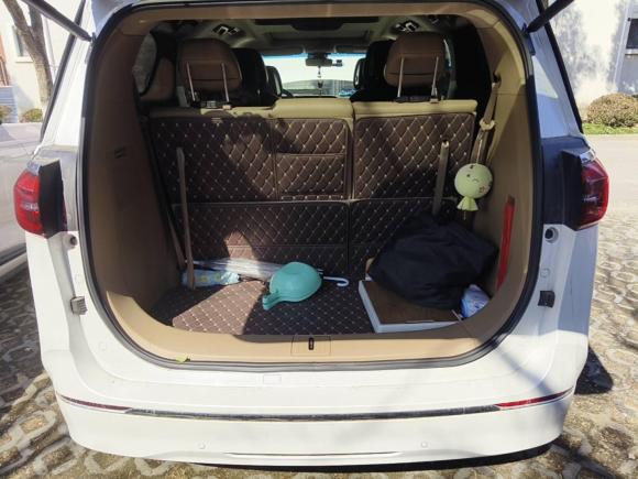 [上海·沪F] 二手别克别克GL82021款 ES陆尊 653T 尊享型