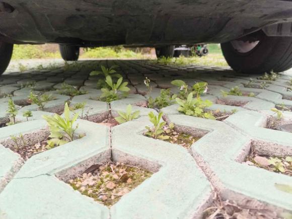 [宁波·浙B] 二手吉利汽车博越2020款 1.5TD 自动智联PRO