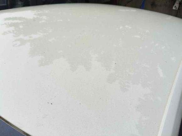 [嘉兴·浙F] 二手大众桑塔纳2016款 1.6L 手动风尚版