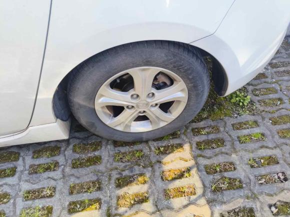 [苏州·苏E] 二手马自达马自达3星骋2012款 两厢 1.6L 自动精英型