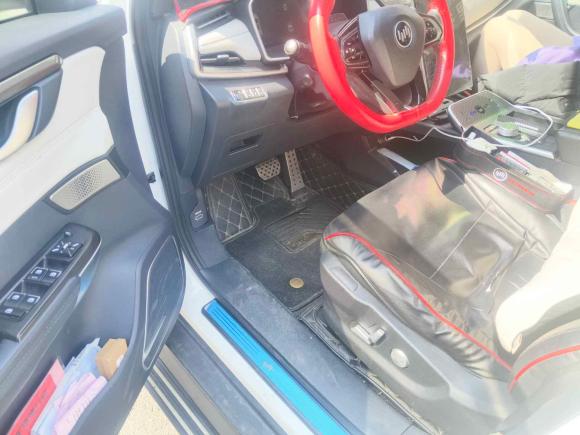 [温州·浙C] 二手威马汽车威马EX52020款 EX5-Z Fun动感版