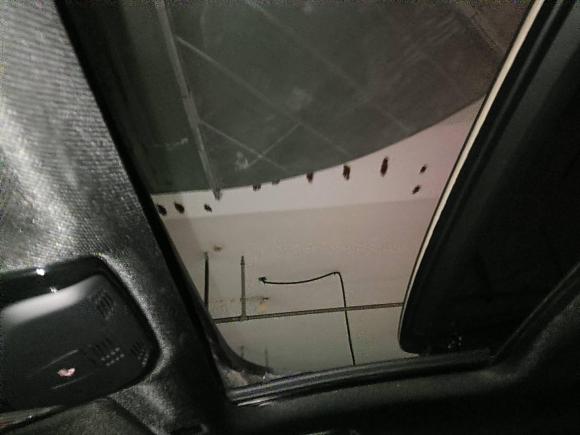 [温州·浙C] 二手宝马宝马5系2018款 改款 530Li 尊享型 M运动套装