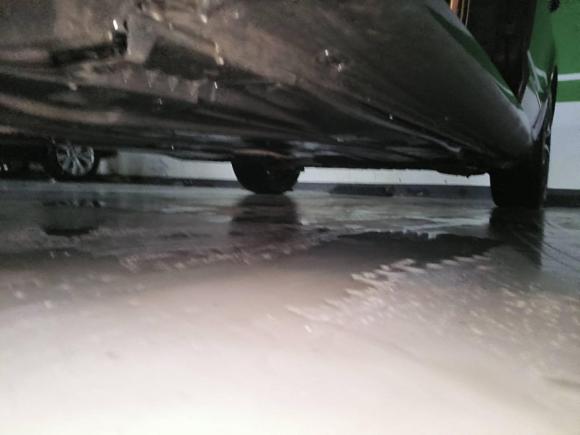 [上海·沪A] 二手斯柯达明锐2019款 TSI280 DSG豪华版