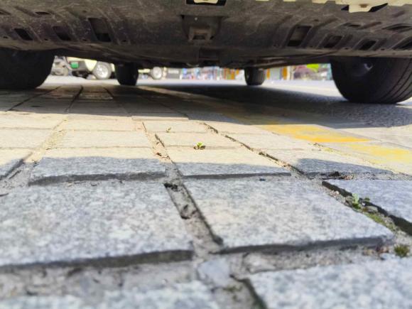 [杭州·浙B] 二手长安逸动2020款 PLUS 蓝鲸NE 1.4T GDI DCT尊贵型