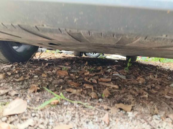 [成都·川G] 二手沃尔沃沃尔沃S902021款 B5 智远豪华版