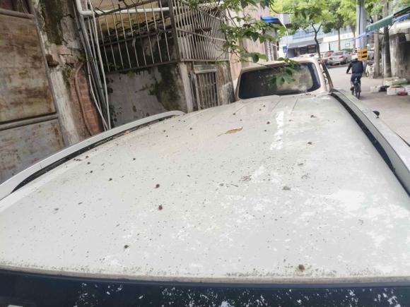 [温州·浙C] 二手东南东南DX32016款 1.5L 手动舒适型