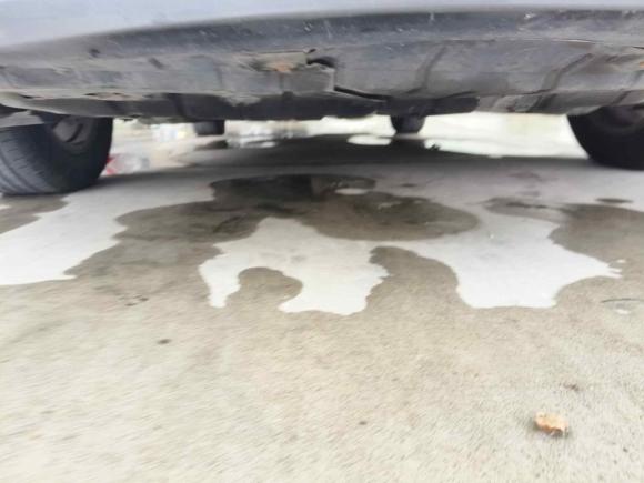 [温州·浙C] 二手丰田凯美瑞2009款 240G 豪华版