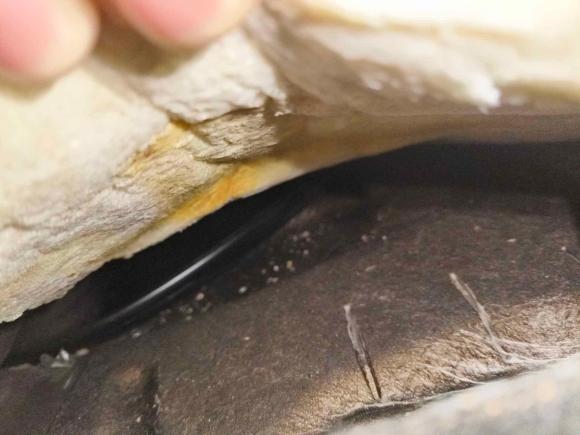 [南昌·赣M] 二手福特福睿斯2015款 1.5L 自动时尚型