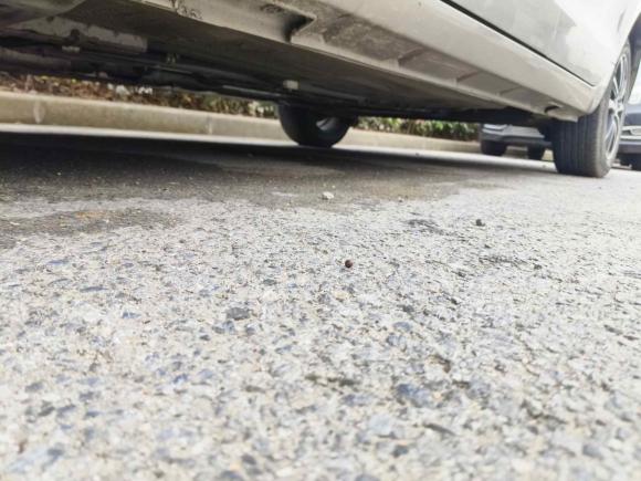 [上海·沪C] 二手东风风行风行S5002016款 1.5L 手动豪华型