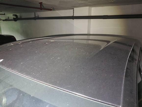 [杭州·浙A] 二手比亚迪海鸥2025款 305km 活力版