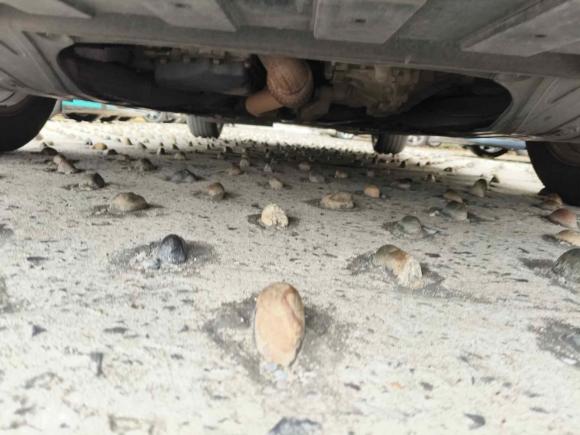 [苏州·苏E] 二手别克君越2016款 20T 精英型