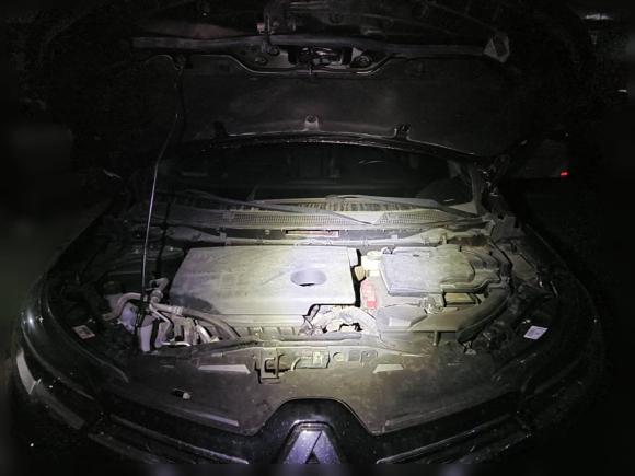 [合肥·皖A] 二手雷诺科雷嘉2017款 2.0L 两驱豪华版