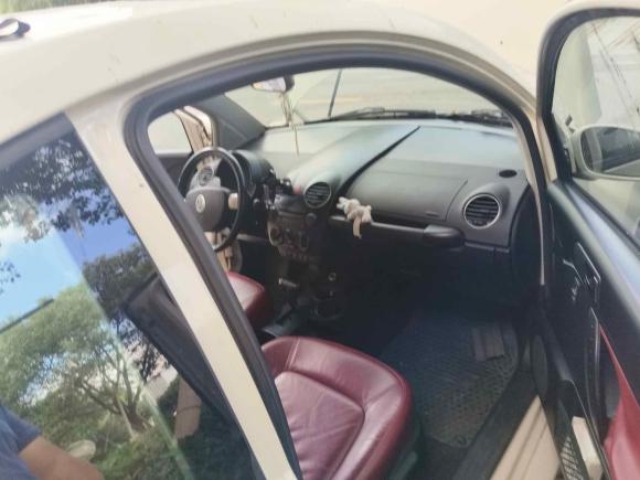 [宁波·浙B] 二手大众甲壳虫2008款 2.0 AT 标配版