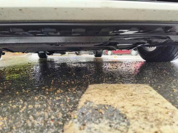 [广州·粤L] 二手斯柯达明锐2017款 1.6L 手动创行版