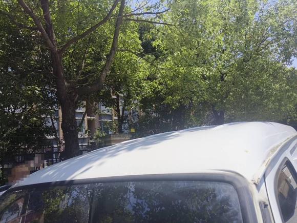 [苏州·苏E] 二手开沃汽车开沃D102022款 NJL5036XXYEV2中顶50.23kWh