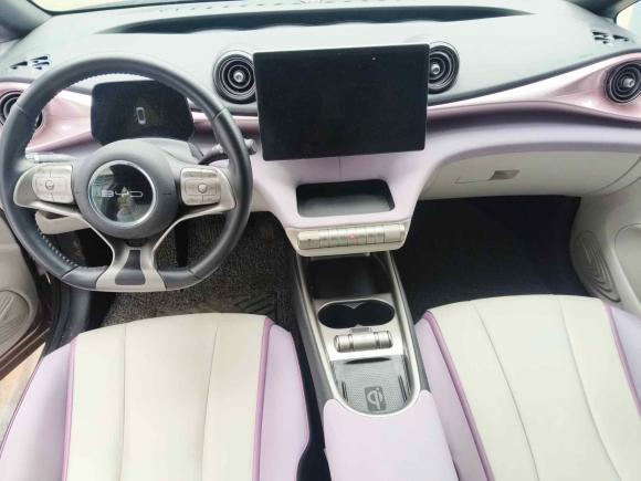 [深圳·粤B] 二手比亚迪海豚2021款 405km 时尚版