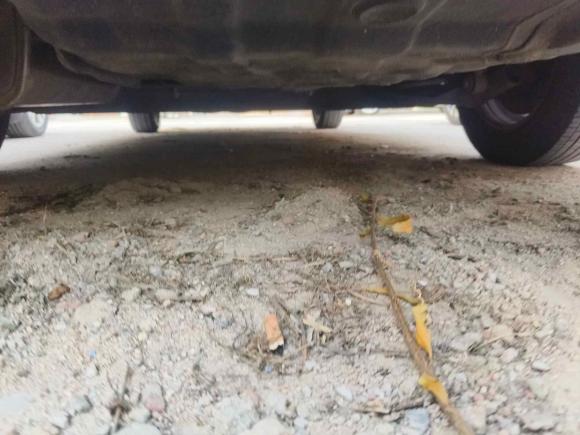 [青岛·鲁B] 二手日产轩逸2012款 经典 1.6XE 自动舒适版