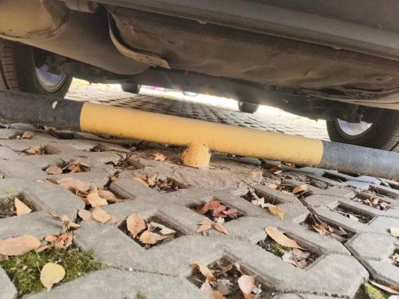 [嘉兴·浙F] 二手斯柯达明锐2019款 1.5L 手动舒适版