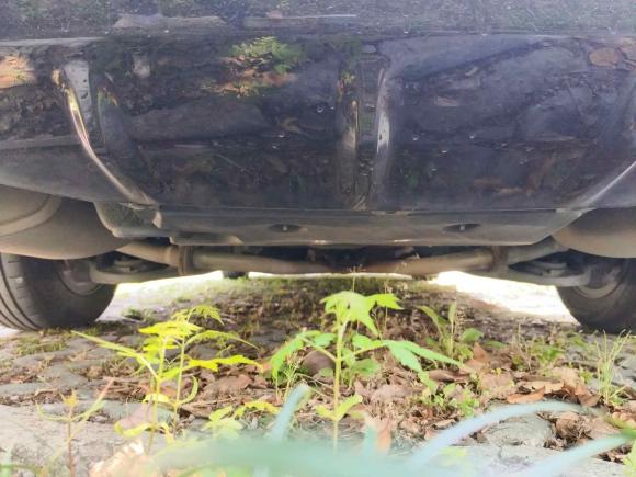 [嘉兴·浙F] 二手日产天籁2020款 改款 2.0L XL 舒适版