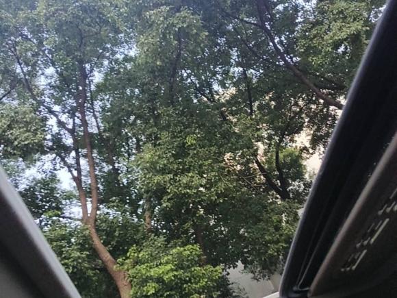 [上海·沪B] 二手宝马宝马3系2014款 320Li 豪华设计套装