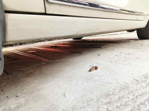 [广州·粤A] 二手福特福睿斯2019款 1.5L 手动质享型