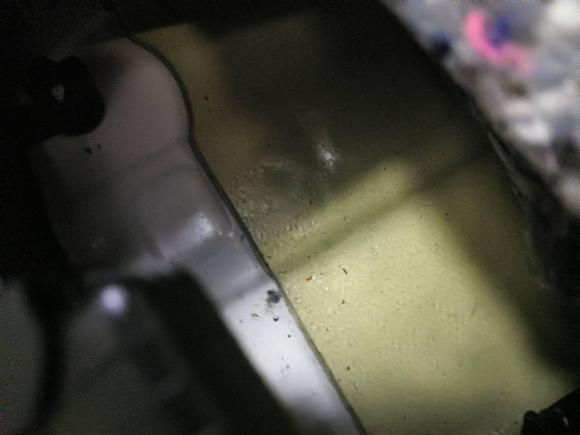 [成都·川A] 二手雪佛兰创酷2016款 1.4T 自动两驱舒适天窗版