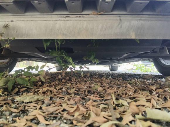 [广州·粤A] 二手日产轩逸2016款 1.6XL  CVT尊享版