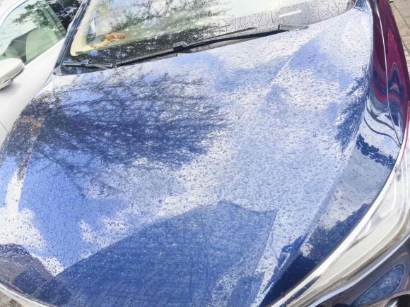 [杭州·浙A] 二手比亚迪宋MAX2018款 1.5T 自动智联精英型 6座