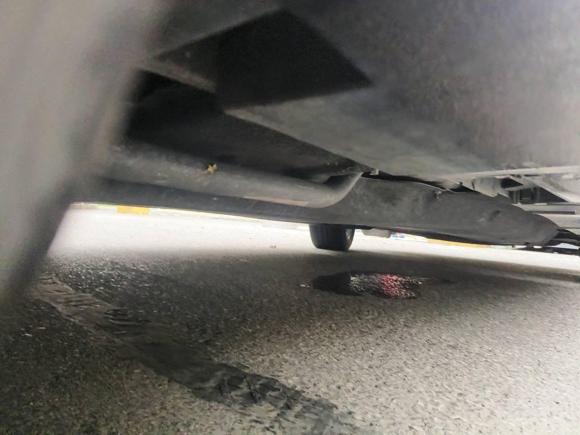 [嘉兴·浙F] 二手林肯林肯Z2022款 i酷 尊雅版