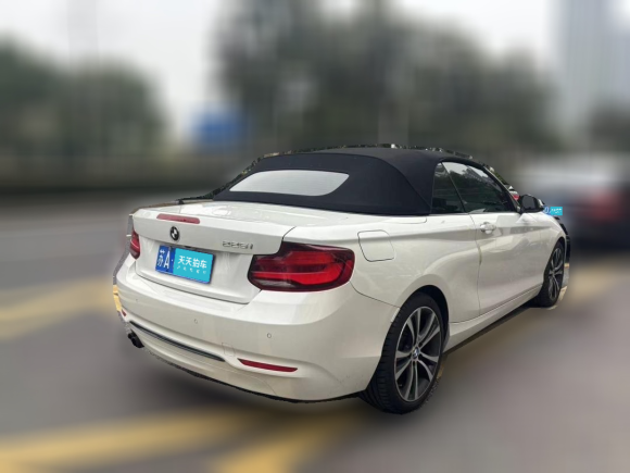 [南京·苏A] 二手宝马宝马2系2019款 225i 敞篷轿跑车 运动设计套装