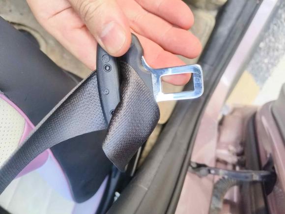 [杭州·浙A] 二手比亚迪海豚2023款 420km 时尚版