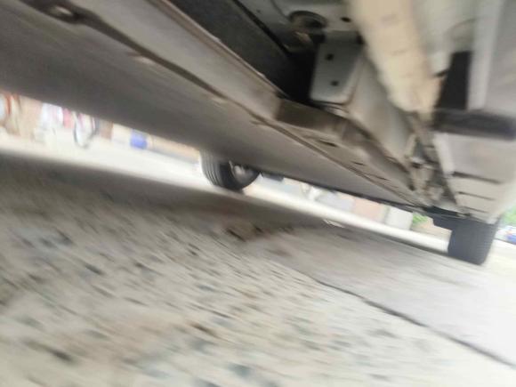 [上海·沪A] 二手比亚迪海豚2023款 420km 时尚版