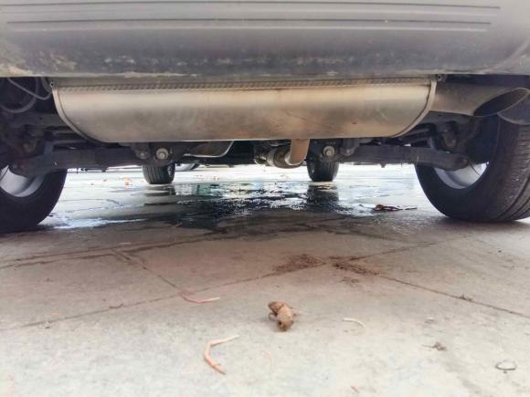 [上海·沪F] 二手起亚智跑2018款 2.0L 自动智享豪华版 国V