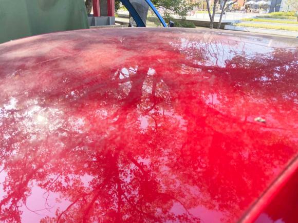 [温州·浙C] 二手奥迪奥迪A32021款 A3L Limousine 35 TFSI 进取运动型