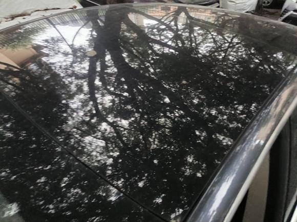 [广州·粤A] 二手特斯拉Model 32020款 改款 标准续航后驱升级版