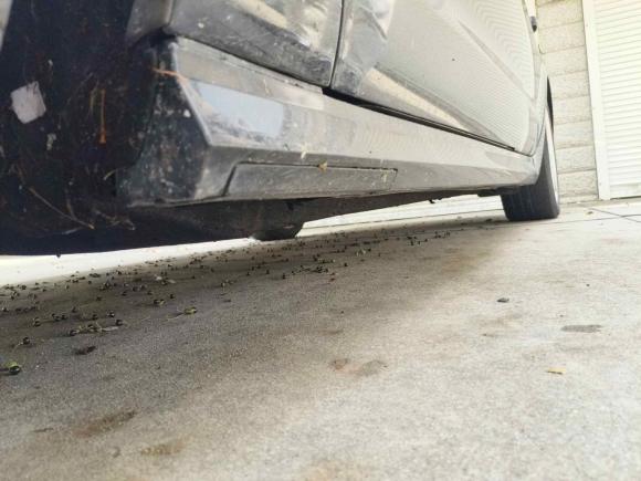 [南通·苏F] 二手奥迪奥迪A6L2018款 30周年年型 30 FSI 风尚型
