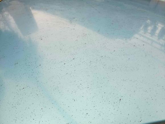 [常州·苏D] 二手本田飞度2011款 1.3L 自动舒适版