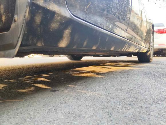 [青岛·鲁U] 二手日产天籁2020款 2.0L XL 舒适版