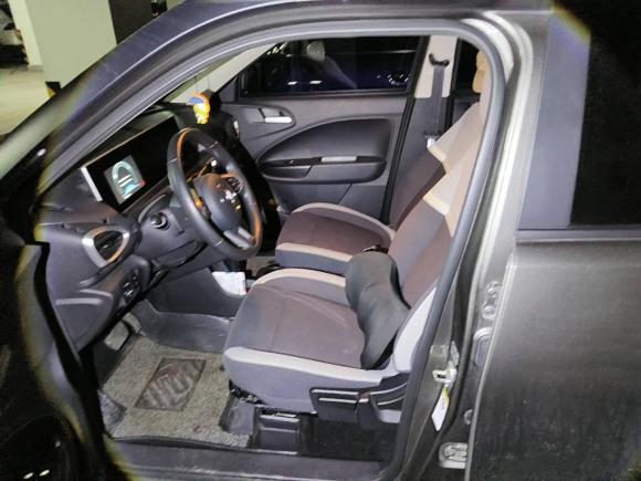 [上海·沪A] 二手欧拉欧拉白猫2020款 360km 豪华型