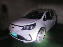 [武汉·鄂A] 吉利几何EX3 功夫牛2021款 坚强牛牛
